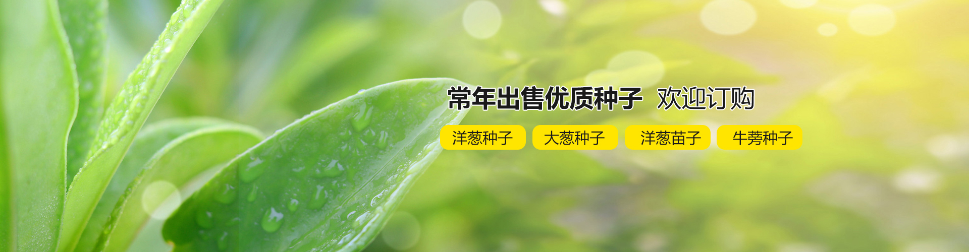 濟(jì)寧華科環(huán)保科技有限公司